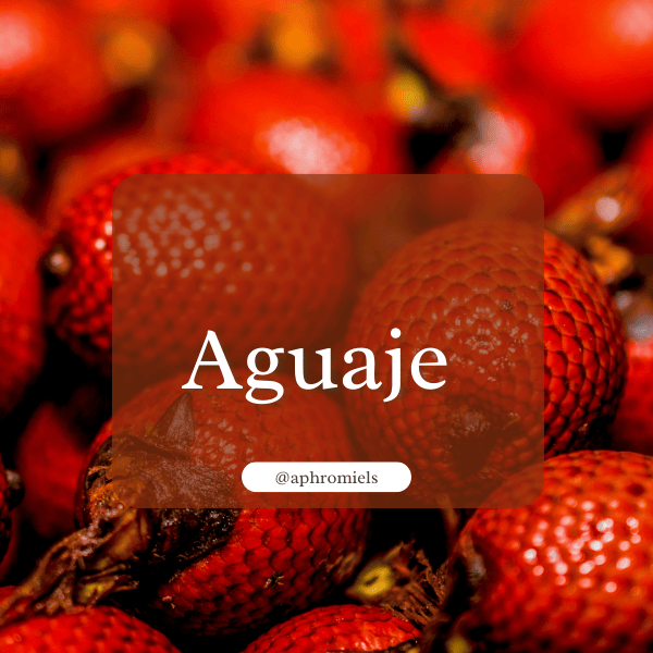 Aguaje fruit